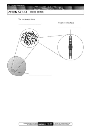 B1 You and your genes



Activity AB1.1.2 Talking genes




                  © University of York (UYSEG) and              This page may be copied solely for use
                             the Nuffield Foundation   B1.1-7   in the purchaser’s school or college
 