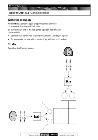 B1 You and your genes



 Activity AB1.5.3 Genetic crosses

Genetic crosses
Remember: a person’s eggs or sperm contain only one
chromosome from each of their pairs.
So they only get one of the two genes a person has for each
characteristic.
• Sometimes a parent has two different versions (alleles) of a gene.
• So, we cannot be sure which version they will pass on to a child.

To do
Complete the Punnett square.




                   © University of York (UYSEG) and               This page may be copied solely for use
                              the Nuffield Foundation   B1.5-13   in the purchaser’s school or college
 