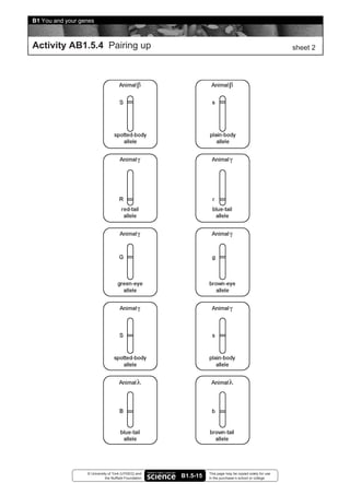 B1 You and your genes



Activity AB1.5.4 Pairing up                                                                               sheet 2




                  © University of York (UYSEG) and               This page may be copied solely for use
                             the Nuffield Foundation   B1.5-15   in the purchaser’s school or college
 