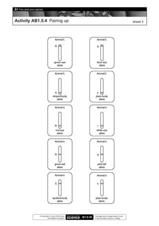 B1 You and your genes



Activity AB1.5.4 Pairing up                                                                               sheet 3




                  © University of York (UYSEG) and               This page may be copied solely for use
                             the Nuffield Foundation   B1.5-16   in the purchaser’s school or college
 