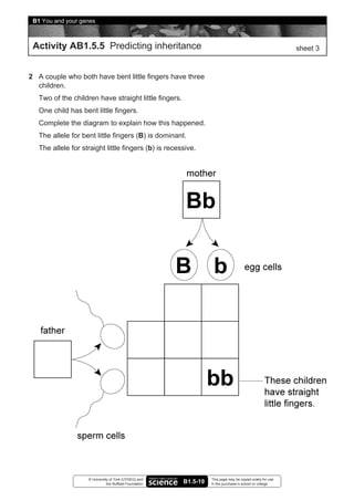 B1 You and your genes



 Activity AB1.5.5 Predicting inheritance                                                                    sheet 3


2 A couple who both have bent little fingers have three
  children.
   Two of the children have straight little fingers.
   One child has bent little fingers.
   Complete the diagram to explain how this happened.
   The allele for bent little fingers (B) is dominant.
   The allele for straight little fingers (b) is recessive.




                    © University of York (UYSEG) and               This page may be copied solely for use
                               the Nuffield Foundation   B1.5-19   in the purchaser’s school or college
 
