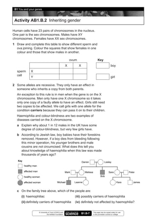 B1 You and your genes



 Activity AB1.B.2 Inheriting gender

Human cells have 23 pairs of chromosomes in the nucleus.
One pair is the sex chromosomes. Males have XY
chromosomes. Females have XX sex chromosomes.
1 Draw and complete this table to show different sperm and
  ova joining. Colour the squares that show females in one
  colour and those that show males in another.

                                                            ovum                      Key
                                                        X          X                                    boy
   sperm     X
   cell
             Y                                                                                          girl

2 Some alleles are recessive. They only have an effect in
  someone who inherits a copy from both parents.
   An exception to this rule is in men when the gene is on the X
   chromosome. Men only have one X chromosome so it takes
   only one copy of a faulty allele to have an effect. Girls still need
   two copies to be affected. We call girls with one allele for the
   condition carriers because they can pass it on to their children.
   Haemophilia and colour-blindness are two examples of
   diseases carried on the X chromosome.
   a Explain why about 1 in 12 males in the UK have some
     degree of colour-blindness, but very few girls have.
   b According to Jewish law, boy babies have their foreskins
     removed. However, if a boy dies from bleeding following
     this minor operation, his younger brothers and male
     cousins are not circumcised. What does this tell you
     about knowledge of haemophilia when this law was made
     thousands of years ago?




   c On the family tree above, which of the people are:
      (i) haemophiliac                                         (iii) possibly carriers of haemophilia
      (ii) definitely carriers of haemophilia                  (iv) definitely not affected by haemophilia?


                   © University of York (UYSEG) and                             This page may be copied solely for use
                              the Nuffield Foundation                  B1.B-7   in the purchaser’s school or college
 