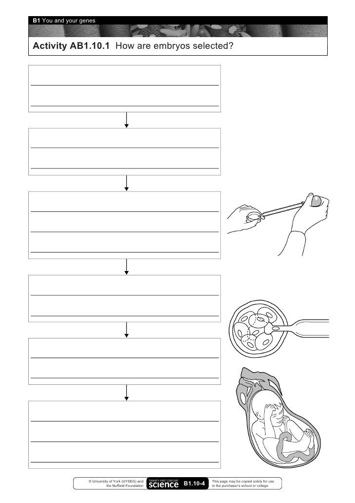 B1 you and your genes worksheets