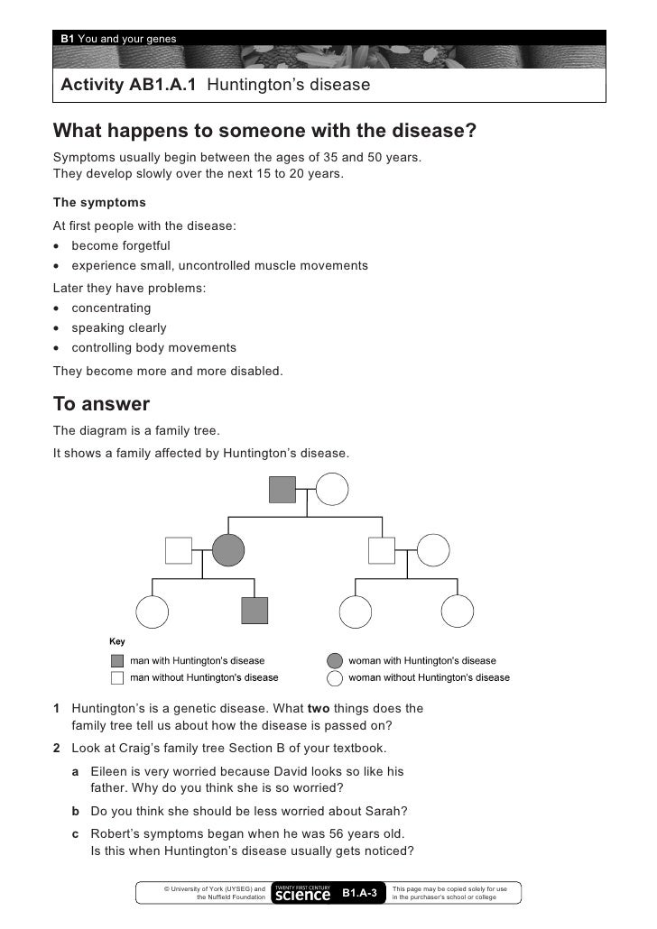 B1 You And Your Genes Worksheets