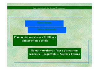 B 2.1.1transporte Plantas