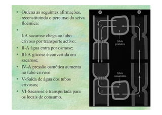 B 2.1.1transporte Plantas