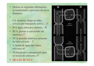 B 2.1.1transporte Plantas