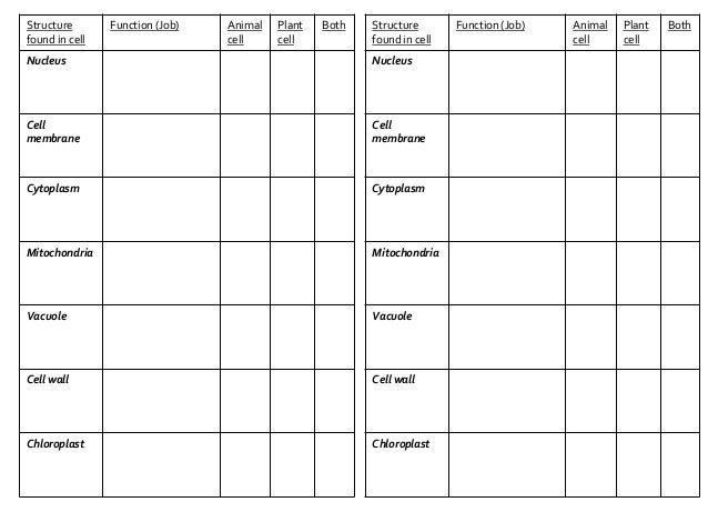 pictures-cell-function-worksheet-getadating