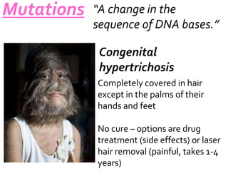 Mutations

“A change in the
sequence of DNA bases.”
Congenital
hypertrichosis
Completely covered in hair
except in the palms of their
hands and feet
No cure – options are drug
treatment (side effects) or laser
hair removal (painful, takes 1-4
years)

 