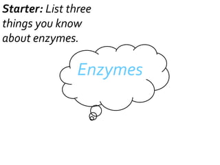 Starter: List three
things you know
about enzymes.

Enzymes

 