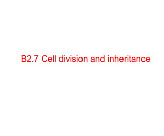 B2.7 Cell division and inheritance

 