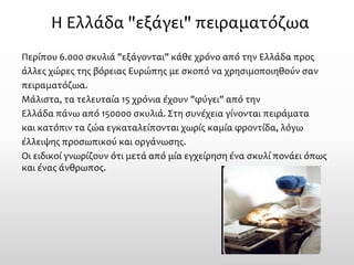 Η Ελλάδα "εξάγει" πειραματόζωα 
Περίπου 6.000 σκυλιά "εξάγονται" κάθε χρόνο από την Ελλάδα προς 
άλλες χώρες της βόρειας Ευρώπης με σκοπό να χρησιμοποιηθούν σαν 
πειραματόζωα. 
Μάλιστα, τα τελευταία 15 χρόνια έχουν "φύγει" από την 
Ελλάδα πάνω από 150000 σκυλιά. Στη συνέχεια γίνονται πειράματα 
και κατόπιν τα ζώα εγκαταλείπονται χωρίς καμία φροντίδα, λόγω 
έλλειψης προσωπικού και οργάνωσης. 
Οι ειδικοί γνωρίζουν ότι μετά από μία εγχείρηση ένα σκυλί πονάει όπως και ένας άνθρωπος.  