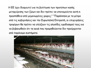 Η ΕΕ έχει δεσμευτεί για τη βελτίωση των προτύπων καλής μεταχείρισης των ζώων και δεν πρέπει να υπονομεύεται αυτή η προσπάθεια από μεμονωμένες χώρες.” “Παράλληλα με τα μέτρα από τις κυβερνήσεις και την Ευρωπαϊκή Επιτροπή, οι επιχειρήσεις τροφίμων θα πρέπει να ελέγξουν τις αλυσίδες εφοδιασμού τους για να βεβαιωθούν ότι τα αυγά που προμηθεύονται δεν προέρχονται από παράνομα συστήματα.  