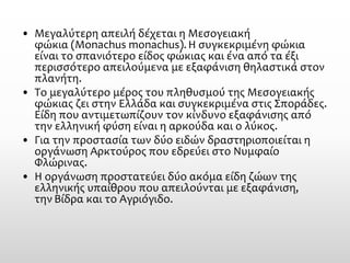 •Μεγαλύτερη απειλή δέχεται ηΜεσογειακή φώκια(Monachus monachus). Η συγκεκριμένη φώκια είναι το σπανιότερο είδος φώκιας και ένα από τα έξι περισσότερο απειλούμενα με εξαφάνιση θηλαστικά στον πλανήτη. 
•Το μεγαλύτερο μέρος του πληθυσμού της Μεσογειακής φώκιας ζει στην Ελλάδα και συγκεκριμένα στιςΣποράδες. Είδη που αντιμετωπίζουν τον κίνδυνο εξαφάνισης από την ελληνική φύση είναι ηαρκούδακαι ολύκος. 
•Για την προστασία των δύο ειδών δραστηριοποιείται η οργάνωσηΑρκτούροςπου εδρεύει στοΝυμφαίο Φλώρινας. 
•Η οργάνωση προστατεύει δύο ακόμα είδη ζώων της ελληνικής υπαίθρου που απειλούνται με εξαφάνιση, τηνΒίδρακαι τοΑγριόγιδο.  