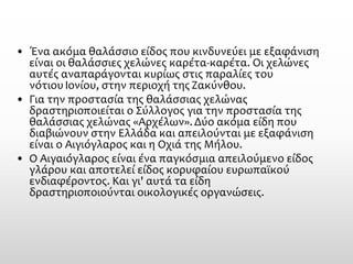 •Ένα ακόμα θαλάσσιο είδος που κινδυνεύει με εξαφάνιση είναι οι θαλάσσιες χελώνεςκαρέτα-καρέτα. Οι χελώνες αυτές αναπαράγονται κυρίως στις παραλίες του νότιουΙονίου, στην περιοχή τηςΖακύνθου. 
•Για την προστασία της θαλάσσιας χελώνας δραστηριοποιείται ο Σύλλογος για την προστασία της θαλάσσιας χελώνας «Αρχέλων». Δύο ακόμα είδη που διαβιώνουν στην Ελλάδα και απειλούνται με εξαφάνιση είναι οΑιγιόγλαροςκαι ηΟχιά της Μήλου. 
•Ο Αιγαιόγλαρος είναι ένα παγκόσμια απειλούμενο είδος γλάρου και αποτελεί είδος κορυφαίου ευρωπαϊκού ενδιαφέροντος. Και γι' αυτά τα είδη δραστηριοποιούνταιοικολογικές οργανώσεις.  