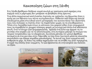 Κακοποίηση ζώων στη Ξάνθη 
Στη Ξάνθη βρέθηκαν δώδεκα νεκρά σκυλιά με τραύματα από σφαίρες στα κορμιά τους ο μάρτυρας δεν μπόρεσε να βοηθήσει στης έρευνες. 
Ένα άλλο περιστατικό από ένοπλες ληστείες σε τράπεζες της Βοιωτίας ήταν η αιτία για τον θάνατο των πέντε κυνηγόσκυλων. Πέθαναν από δίψα και ασιτία κλειδωμένα μέσα στο ειδικό κουτί μεταφοράς του αυτοκινήτου του ιδιοκτήτη τους που έκλεψαν οι ληστές όταν τα παράτησαν χωρίς να τα ελευθερώσουν. Τέλος στις Λογγάδες Ιωαννίνων οι κάτοικοι του χωριού είδαν έναν συχωριανό τους να πυροβολεί εν ψυχρώ τέσσερις φορές με κυνηγετικό όπλο ένα αδέσποτο σκυλί. Ενώ το άτυχο ζώο ψυχορραγούσε, άρπαξε ένα ξύλο και άρχισε να το χτυπάει στο κεφάλι για να το αποτελειώσει. Στη συνέχεια μάζεψε το πτώμα του νεκρού τετράποδου και το εξαφάνισε. Σκυλίτσα ράτσας πιτ μπουλ βρέθηκε πεταμένη σε ένα χαντάκι στην Πάρνηθα το ζώο ήταν ζωντανό μέσα σε σακούλα σκουπιδιών και έφερε σημάδια κακοποίησης. Τα αυτιά της ήταν κομμένα από ανθρώπινο χέρι, τα πίσω της πόδια παρέλυσαν και τα στήθη της ήταν πρησμένα. Η ουρά της επίσης ήταν κομμένη. Το ζώο βρίσκεται σε κτηνιατρείο και παλεύει να ζήσει  