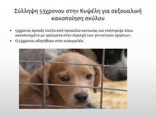 Σύλληψη 53χρονου στην Κυψέλη για σεξουαλική κακοποίηση σκύλου 
•53χρονος άρπαξε σκύλο από προαύλιο κατοικίας και επέστρεψε πίσω κακοποιημένο με τραύματα στην περιοχή των γεννητικών οργάνων. 
•Ο 53χρονος οδηγήθηκε στον εισαγγελέα.  