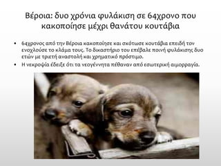 Βέροια:δυο χρόνια φυλάκιση σε 64χρονο που κακοποίησε μέχρι θανάτου κουτάβια 
•64χρονος από την Βέροια κακοποίησε και σκότωσε κουτάβια επειδή τον ενοχλούσε το κλάμα τους. Το δικαστήριο του επέβαλε ποινή φυλάκισης δυο ετών με τριετή αναστολή και χρηματικό πρόστιμο. 
•Η νεκροψία έδειξε ότι τα νεογέννητα πέθαναν από εσωτερική αιμορραγία.  