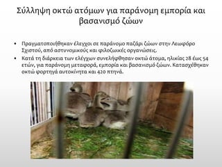 Σύλληψη οκτώ ατόμων για παράνομη εμπορία και βασανισμό ζώων 
•Πραγματοποιήθηκαν έλεγχοι σε παράνομο παζάρι ζώων στην Λεωφόρο Σχιστού, από αστυνομικούς και φιλοζωικές οργανώσεις. 
•Κατά τη διάρκεια των ελέγχων συνελήφθησαν οκτώ άτομα, ηλικίας 28 έως 54 ετών, για παράνομη μεταφορά, εμπορία και βασανισμό ζώων. Κατασχέθηκαν οκτώ φορτηγά αυτοκίνητα και 420 πτηνά.  