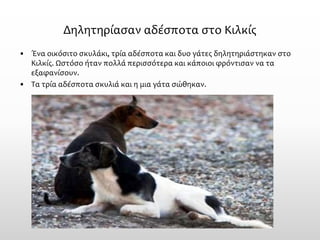 Δηλητηρίασαν αδέσποτα στο Κιλκίς 
•Ένα οικόσιτο σκυλάκι, τρία αδέσποτα και δυο γάτες δηλητηριάστηκαν στο Κιλκίς. Ωστόσο ήταν πολλά περισσότερα και κάποιοι φρόντισαν να τα εξαφανίσουν. 
•Τα τρία αδέσποτα σκυλιά και η μια γάτα σώθηκαν.  