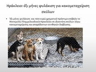 Ηράκλειο: έξι μήνες φυλάκιση για κακομεταχείριση σκύλων 
•Έξι μήνες φυλάκιση και 1000 ευρώ χρηματικό πρόστιμο επέβαλε το Μονομελές Πλημμελειοδικείο Ηρακλείου σε ιδιοκτήτη σκύλων λόγω κακομεταχείρισης και απαράδεκτων συνθηκών διαβίωσης.  