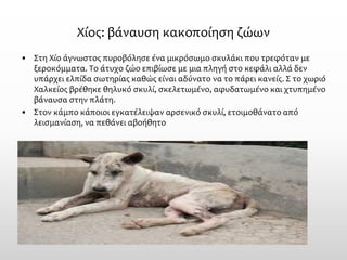 Χίος: βάναυση κακοποίηση ζώων 
•Στη Χίο άγνωστος πυροβόλησε ένα μικρόσωμο σκυλάκι που τρεφόταν με ξεροκόμματα. Το άτυχο ζώο επιβίωσε με μια πληγή στο κεφάλι αλλά δεν υπάρχει ελπίδα σωτηρίας καθώς είναι αδύνατο να το πάρει κανείς. Σ το χωριό Χαλκείος βρέθηκε θηλυκό σκυλί, σκελετωμένο, αφυδατωμένο και χτυπημένο βάναυσα στην πλάτη. 
•Στον κάμπο κάποιοι εγκατέλειψαν αρσενικό σκυλί, ετοιμοθάνατο από λεισμανίαση, να πεθάνει αβοήθητο  