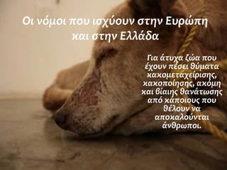 Οι νόμοι που ισχύουν στην Ευρώπη και στην Ελλάδα 
Για άτυχα ζώα που έχουν πέσει θύματα κακομεταχείρισης, κακοποίησης, ακόμη και βίαιης θανάτωσης από κάποιους που θέλουν να αποκαλούνται άνθρωποι.  