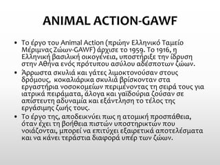 ANIMAL ACTION-GAWF 
•Το έργο του Animal Action (πρώην Ελληνικό Ταμείο Μέριμνας Ζώων-GAWF) άρχισε το 1959. Το 1916, η Ελληνική βασιλική οικογένεια, υποστήριξε την ίδρυση στην Αθήνα ενός πρότυπου ασύλου αδέσποτων ζώων. 
•Άρρωστα σκυλιά και γάτες λιμοκτονούσαν στους δρόμους,κοκαλιάρικα σκυλιά βρίσκονταν στα εργαστήρια νοσοκομείων περιμένοντας τη σειρά τους για ιατρικά πειράματα, άλογα και γαϊδούρια ζούσαν σε απίστευτη αδυναμία και εξάντληση το τέλος της εργάσιμης ζωής τους. 
•Το έργο της, αποδεικνύει πως η ατομική προσπάθεια, όταν έχει τη βοήθεια πιστών υποστηρικτών που νοιάζονται, μπορεί να επιτύχει εξαιρετικά αποτελέσματα και να κάνει τεράστια διαφορά υπέρ των ζώων.  