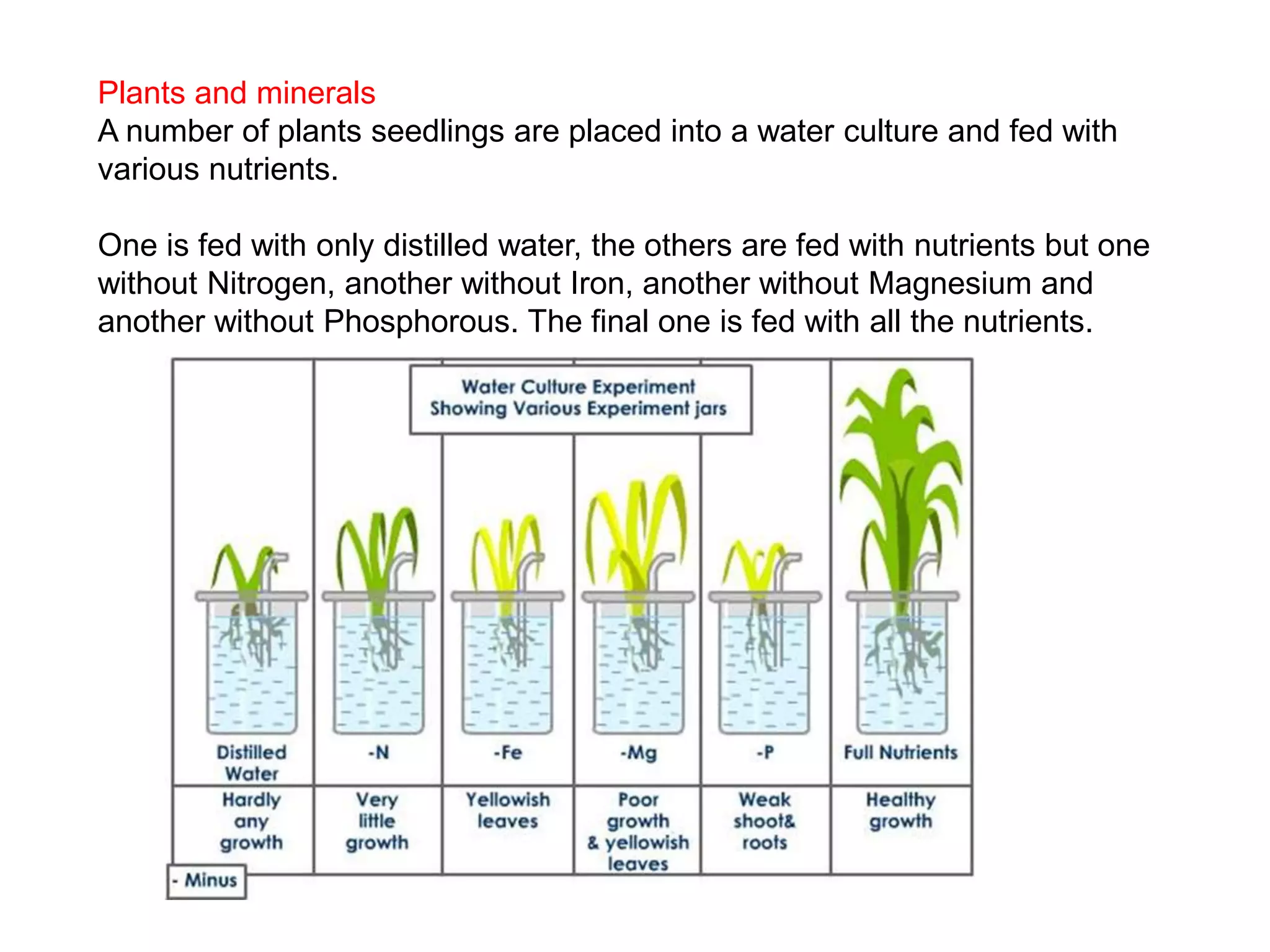 Plants and minerals
A number of plants seedlings are placed into a water culture and fed with
various nutrients.
One is fed with only distilled water, the others are fed with nutrients but one
without Nitrogen, another without Iron, another without Magnesium and
another without Phosphorous. The final one is fed with all the nutrients.
 