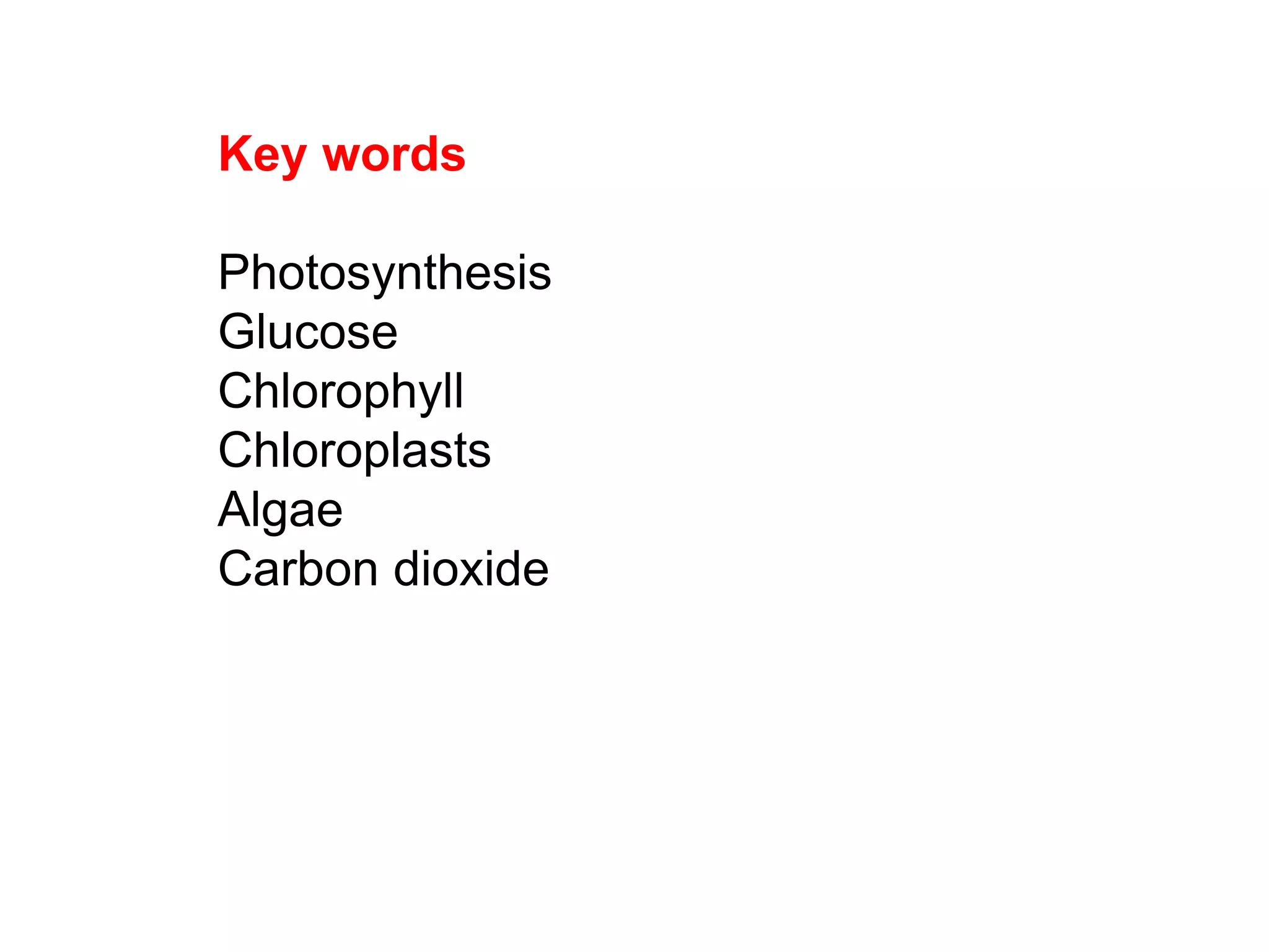 Key words
Photosynthesis
Glucose
Chlorophyll
Chloroplasts
Algae
Carbon dioxide
 
