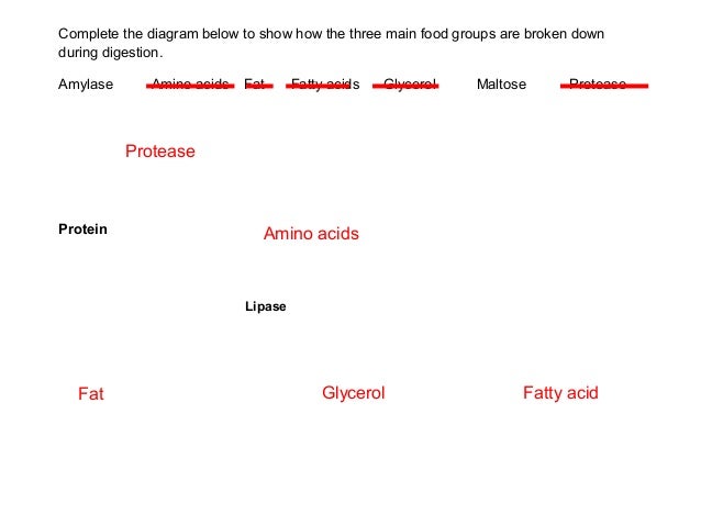 The simple diet plan james anderson image 5