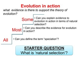 Evolution in action
what evidence is there to support the theory of
evolution?
All
Most
Some
• Can you define the term “speciation”?
• Can you describe the evidence for evolution
in action?
• Can you explain evidence to
evolution in action in terms of natural
selection?
STARTER QUESTION
What is ‘natural selection’?
 