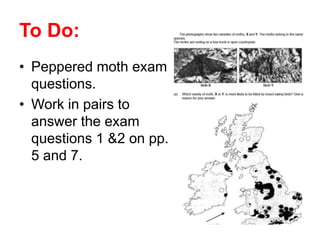 To Do:
• Peppered moth exam
questions.
• Work in pairs to
answer the exam
questions 1 &2 on pp.
5 and 7.
 