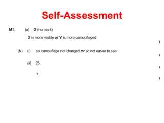 Self-Assessment
 