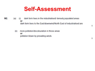 Self-Assessment
 