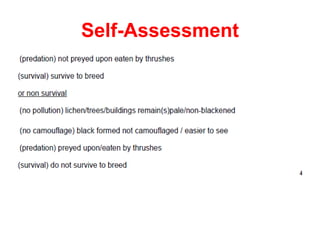 Self-Assessment
 