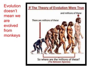 Evolution
doesn’t
mean we
are
evolved
from
monkeys
 