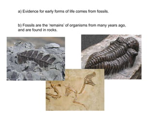 a) Evidence for early forms of life comes from fossils.
b) Fossils are the ‘remains’ of organisms from many years ago,
and are found in rocks.
 