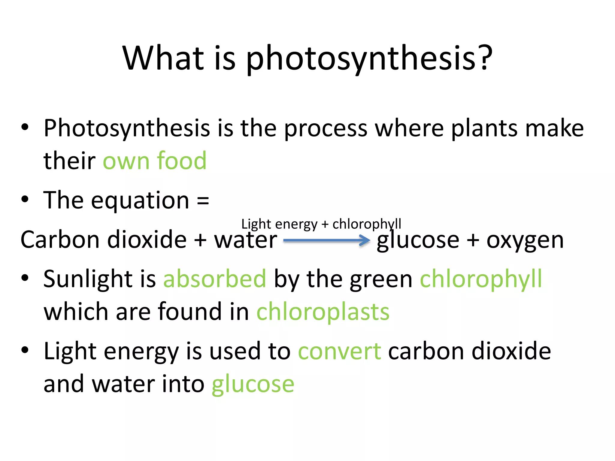 What is photosynthesis?
• Photosynthesis is the process where plants make
their own food
• The equation =
Carbon dioxide + water glucose + oxygen
• Sunlight is absorbed by the green chlorophyll
which are found in chloroplasts
• Light energy is used to convert carbon dioxide
and water into glucose
Light energy + chlorophyll
 
