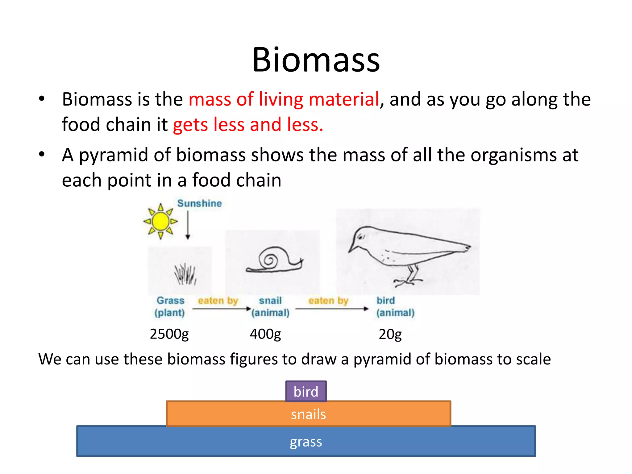 Biomass
• Biomass is the mass of living material, and as you go along the
food chain it gets less and less.
• A pyramid of biomass shows the mass of all the organisms at
each point in a food chain
We can use these biomass figures to draw a pyramid of biomass to scale
2500g 400g 20g
grass
snails
bird
 