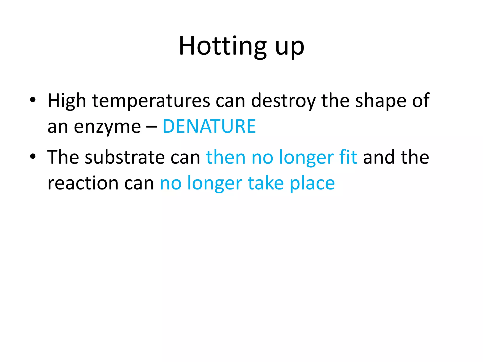 Hotting up
• High temperatures can destroy the shape of
an enzyme – DENATURE
• The substrate can then no longer fit and the
reaction can no longer take place
 