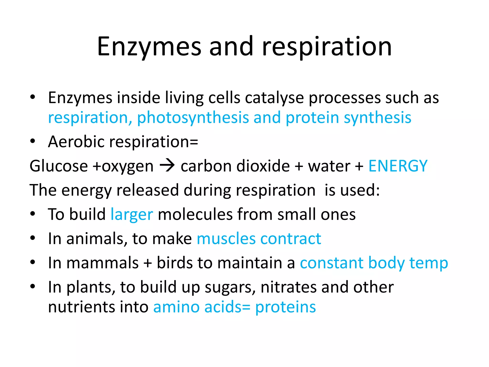 Enzymes and respiration
• Enzymes inside living cells catalyse processes such as
respiration, photosynthesis and protein synthesis
• Aerobic respiration=
Glucose +oxygen  carbon dioxide + water + ENERGY
The energy released during respiration is used:
• To build larger molecules from small ones
• In animals, to make muscles contract
• In mammals + birds to maintain a constant body temp
• In plants, to build up sugars, nitrates and other
nutrients into amino acids= proteins
 