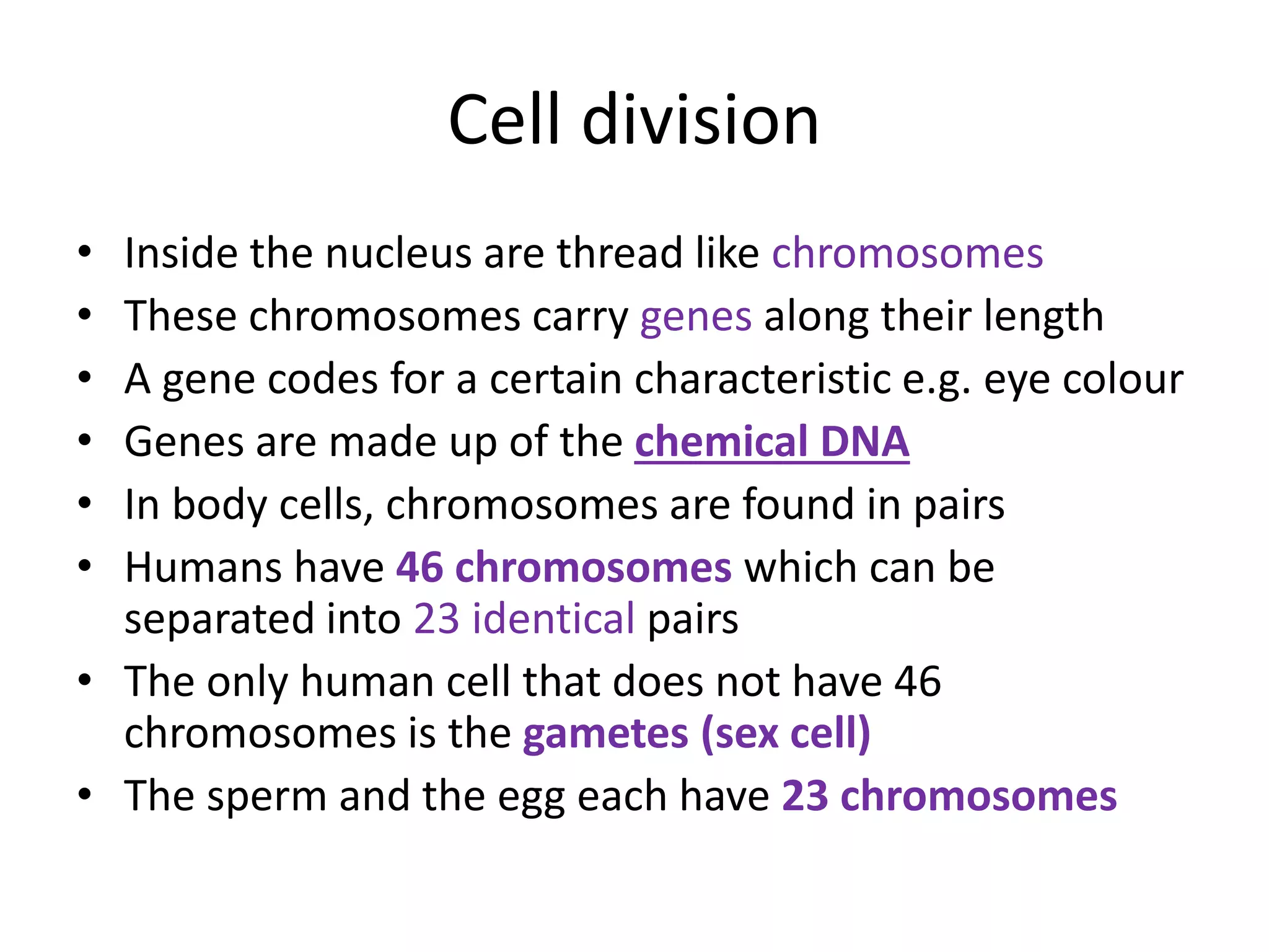 Cell division
• Inside the nucleus are thread like chromosomes
• These chromosomes carry genes along their length
• A gene codes for a certain characteristic e.g. eye colour
• Genes are made up of the chemical DNA
• In body cells, chromosomes are found in pairs
• Humans have 46 chromosomes which can be
separated into 23 identical pairs
• The only human cell that does not have 46
chromosomes is the gametes (sex cell)
• The sperm and the egg each have 23 chromosomes
 