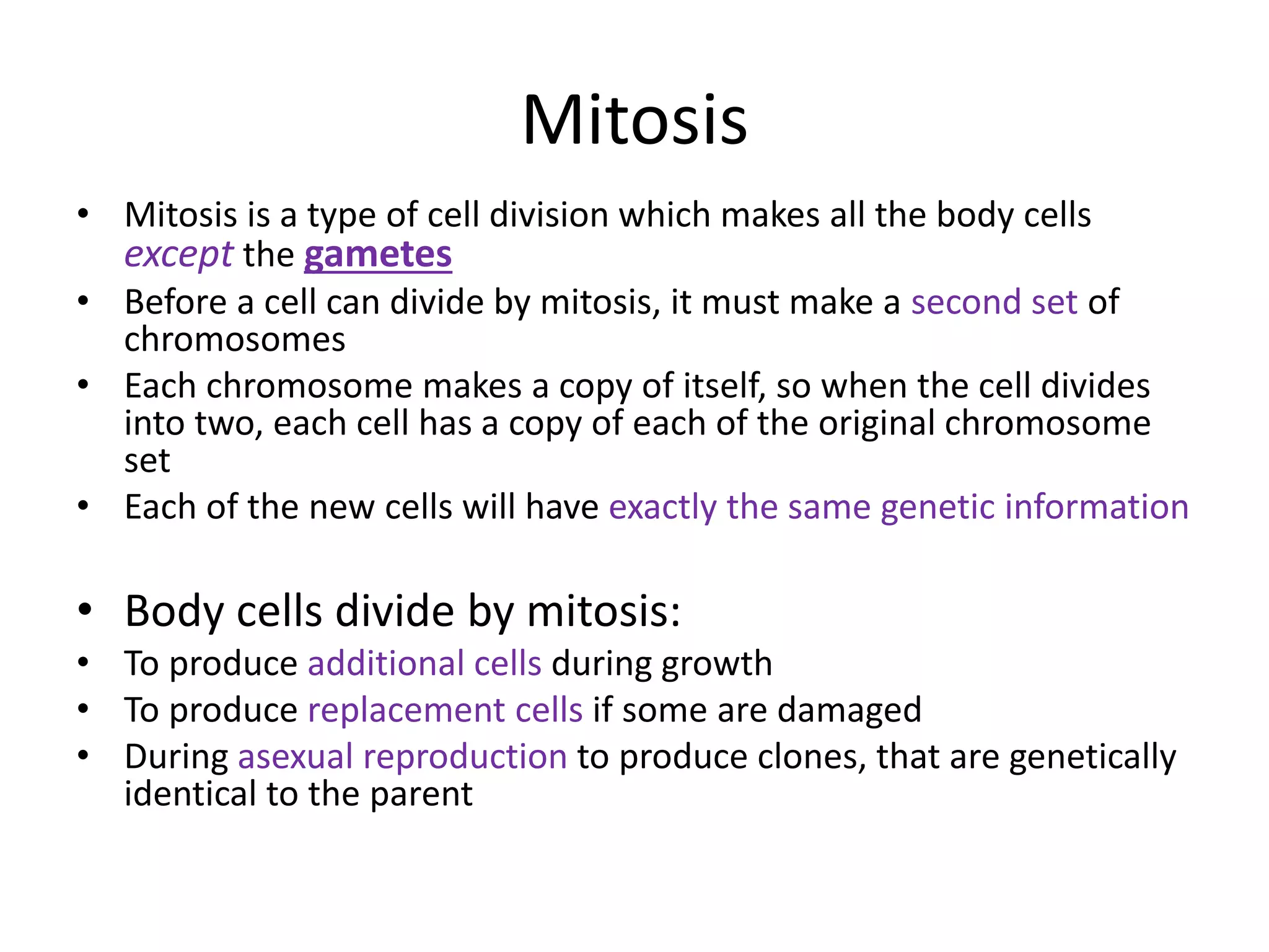 Mitosis
• Mitosis is a type of cell division which makes all the body cells
except the gametes
• Before a cell can divide by mitosis, it must make a second set of
chromosomes
• Each chromosome makes a copy of itself, so when the cell divides
into two, each cell has a copy of each of the original chromosome
set
• Each of the new cells will have exactly the same genetic information
• Body cells divide by mitosis:
• To produce additional cells during growth
• To produce replacement cells if some are damaged
• During asexual reproduction to produce clones, that are genetically
identical to the parent
 
