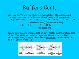 Buffers Cont. We have  buffers  in our blood, i.e.  hemoglobin .  Hb  picks up and transports excess H+ in the reaction with carbonic anhydr ase . E.g.  H 2 O + CO 2      H 2 CO 3      HCO 3 -  +  H+     (carbonic acid) (bicarbonate ion)  Hb   +  H+     HHb     ( reduced Hb ) During exercise we produce lots of CO 2 ,  HCO 3 - and therefore lots of H+.  The  Hb  in our blood accepts the H+ (acts as a  buffer  resulting in HHb)   causing blood pH to  decrease , i.e. becoming less acidic.  (See C9 and 10) 