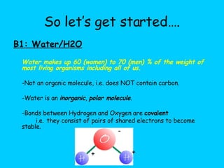 So let’s get started…. B1: Water/H2O Water makes up 60 (women) to 70 (men) % of the weight of most living organisms including all of us. -Not an organic molecule, i.e. does NOT contain carbon. -Water is an  inorganic ,  polar molecule . -Bonds between Hydrogen and Oxygen are  covalent i.e.   they consist of pairs of shared electrons to become stable.   - + + 