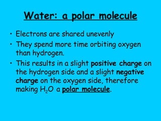Water: a polar molecule Electrons are shared unevenly  They spend more time orbiting oxygen than hydrogen.  This results in a slight  positive charge  on the hydrogen side and a slight  negative charge  on the oxygen side, therefore making H 2 O   a  polar molecule .  