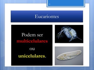 12




        Eucariontes


 Podem ser
multicelulares
      ou
unicelulares.

                      Nuno Correia 11/12
 