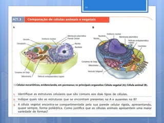 16




     Nuno Correia 11/12
 
