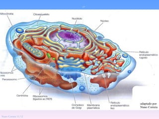 17




Nuno Correia 11/12
 